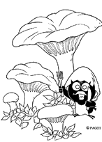 coloriage Calimero a la cueillette des champignons